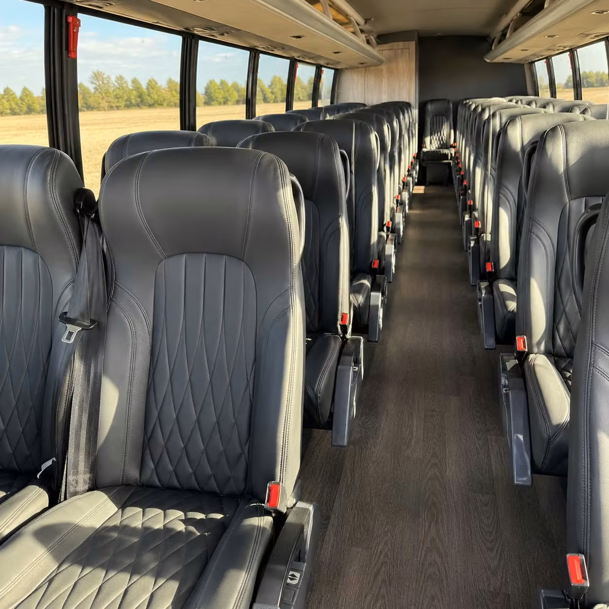 beaumont government bus rentals