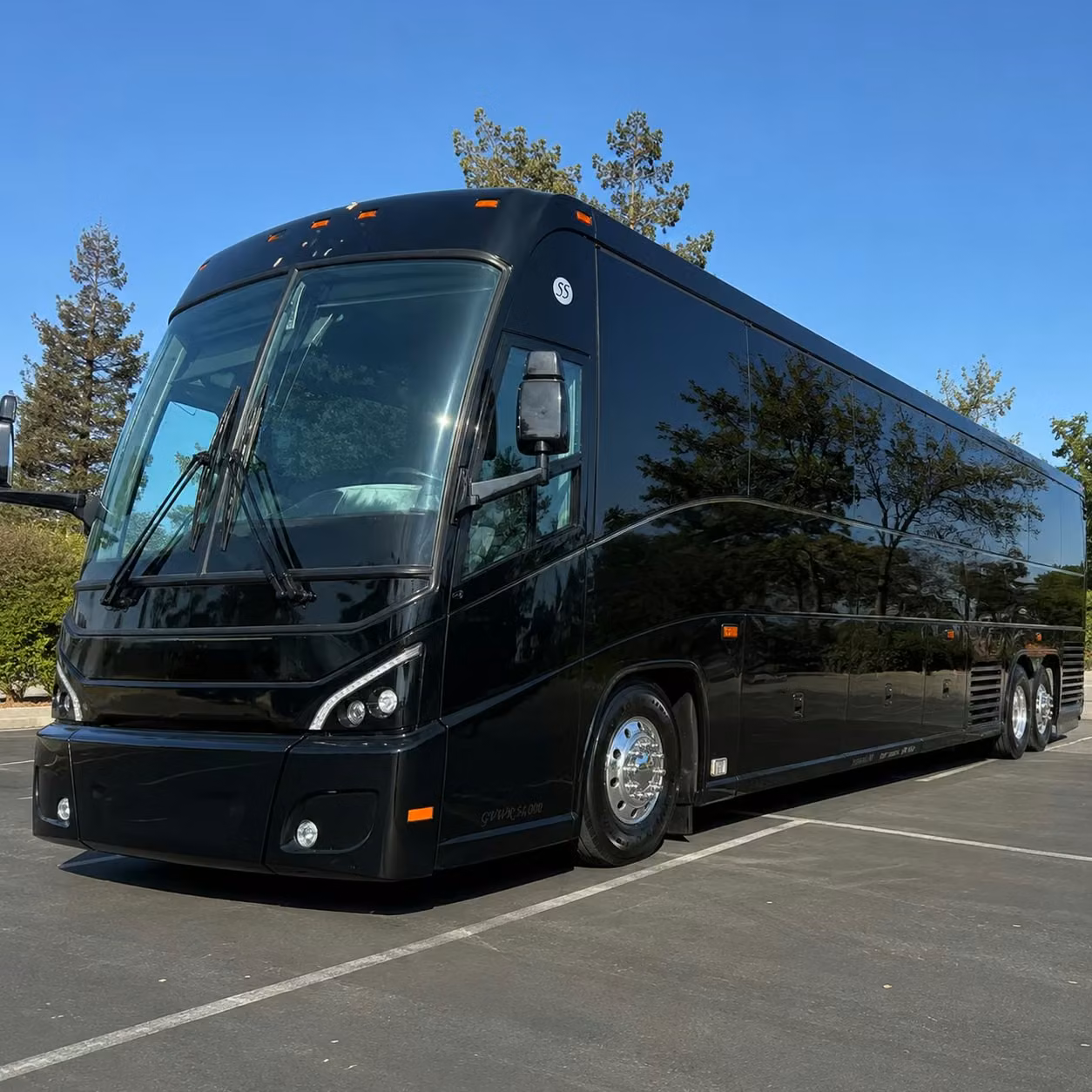 long distance bus trips from beaumont to houston dallas beyond
